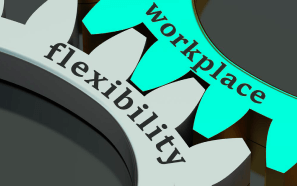 wehicle-modification - Flecibility